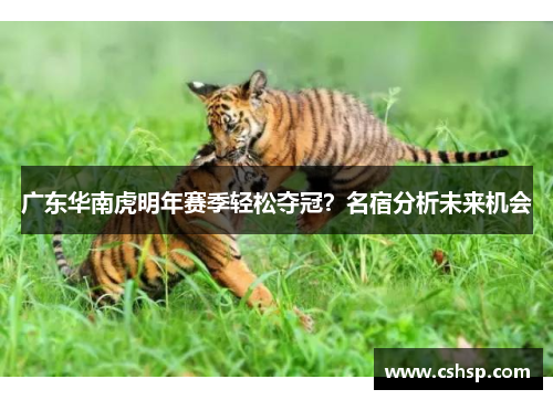广东华南虎明年赛季轻松夺冠？名宿分析未来机会