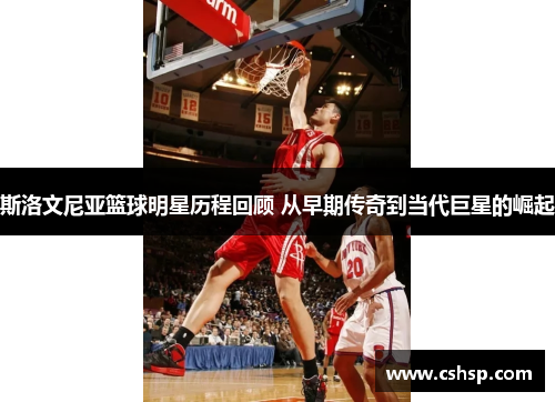 斯洛文尼亚篮球明星历程回顾 从早期传奇到当代巨星的崛起