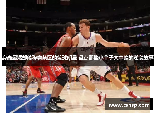 身高最矮却能称霸禁区的篮球明星 盘点那些小个子大中锋的逆袭故事
